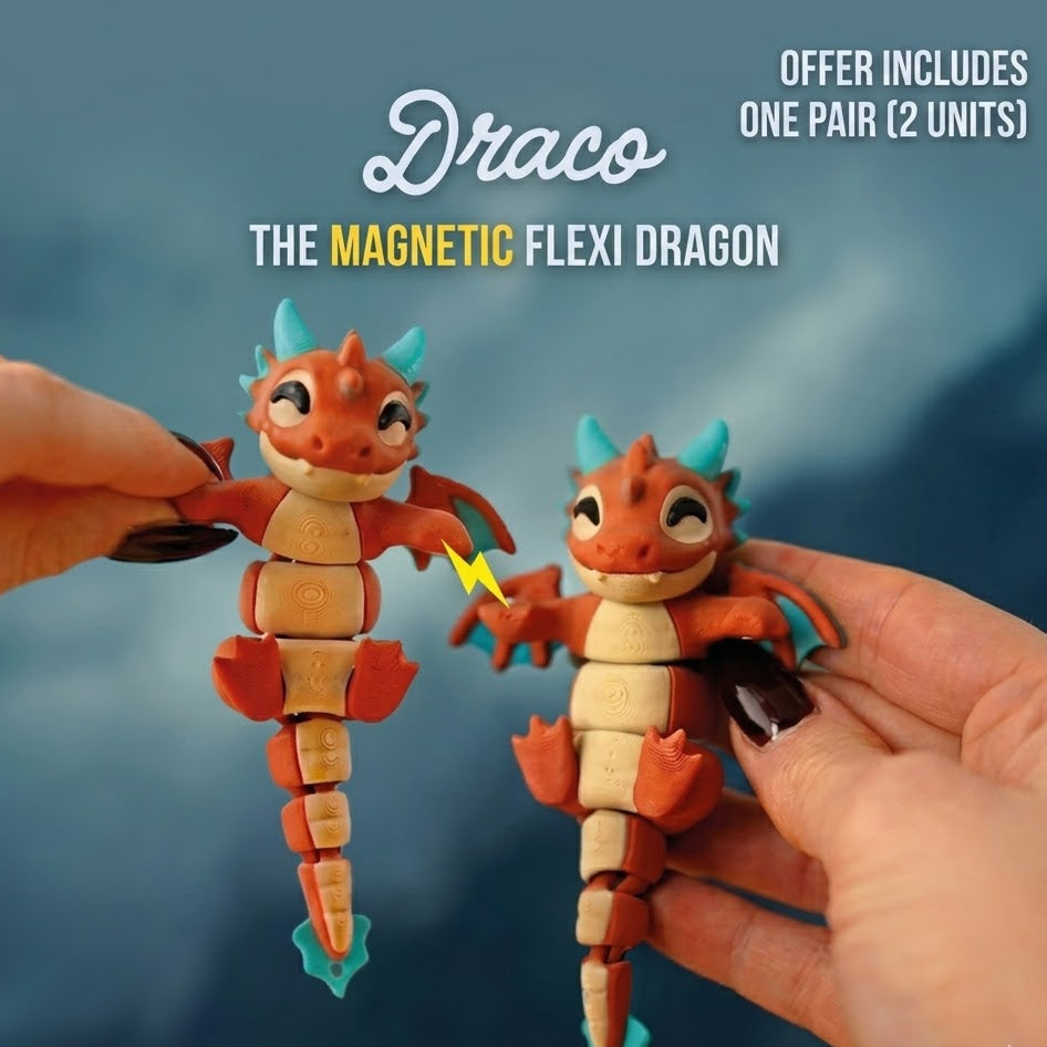 Connected by Heart: Flexi Magnetic Companions 🐾 (A Pair)