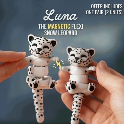 Connected by Heart: Flexi Magnetic Companions 🐾 (A Pair)