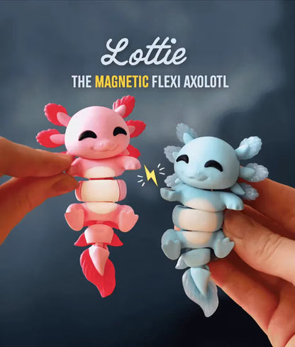 Connected by Heart: Flexi Magnetic Companions 🐾 (A Pair)