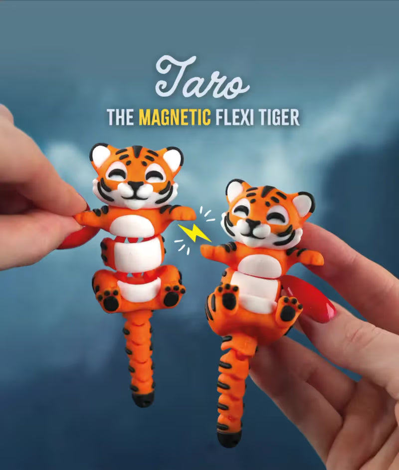 Connected by Heart: Flexi Magnetic Companions 🐾 (A Pair)