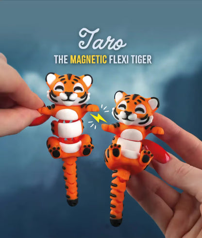 Connected by Heart: Flexi Magnetic Companions 🐾 (A Pair)