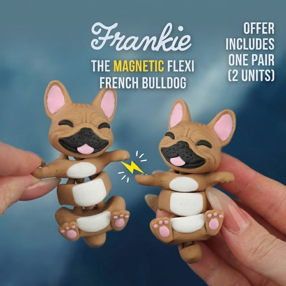 Connected by Heart: Flexi Magnetic Companions 🐾 (A Pair)