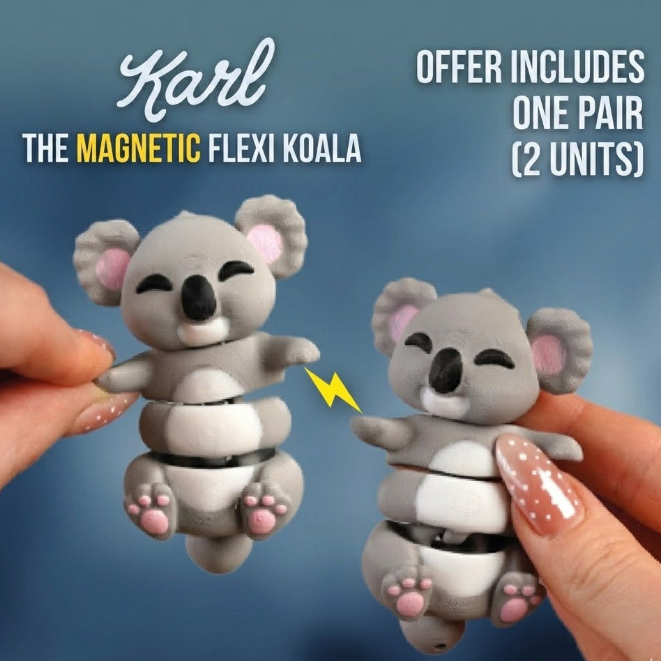 Connected by Heart: Flexi Magnetic Companions 🐾 (A Pair)