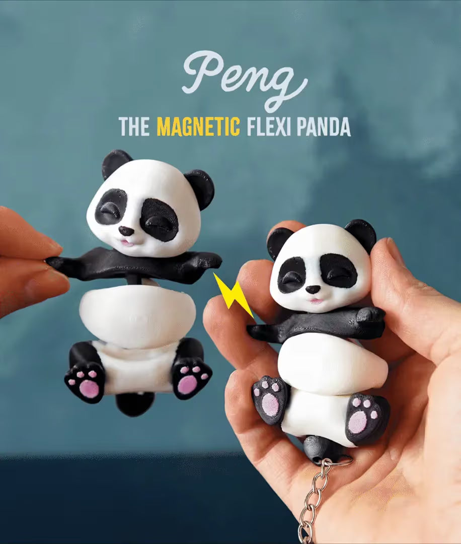 Connected by Heart: Flexi Magnetic Companions 🐾 (A Pair)